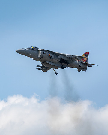 RIAT 2024-1017382
