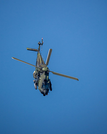 RIAT 2024-1017022