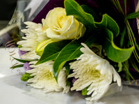 P1331102