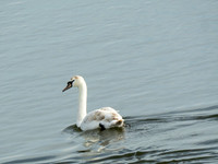 SW_Apr26-1393416