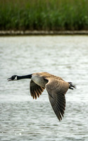 SW_Apr26-1393570