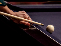 Frog_Fiddle_7th_Feb-1355751