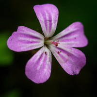 P1188198