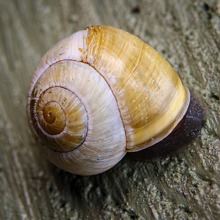 P1188268