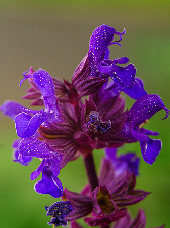 P1188283