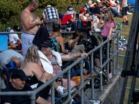 P1188155