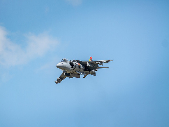 RIAT 2024-1017372