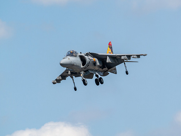 RIAT 2024-1017399