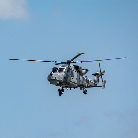 RIAT 2024-1017269