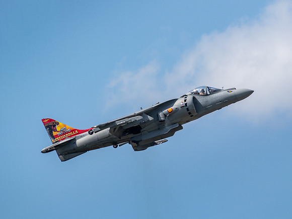 RIAT 2024-1017395