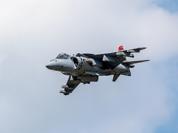 RIAT 2024-1017374