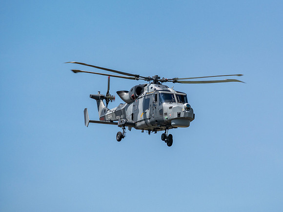 RIAT 2024-1017259