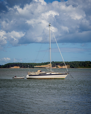 P1233480