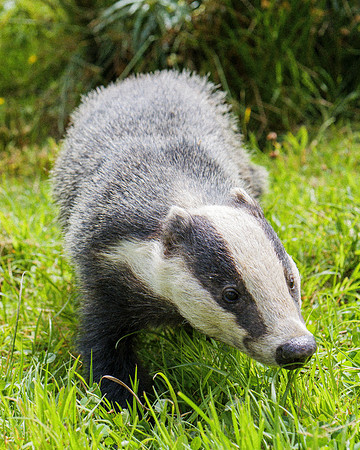 P1017811