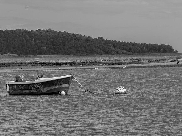 P1015659