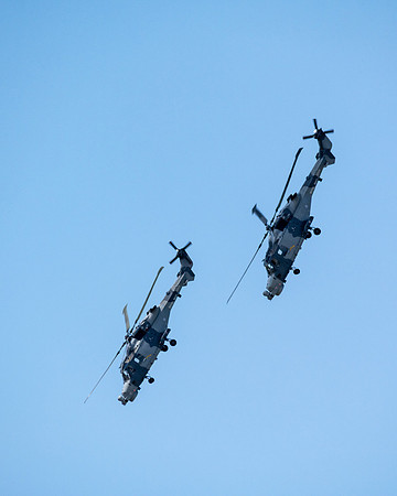 RIAT 2024-1017207