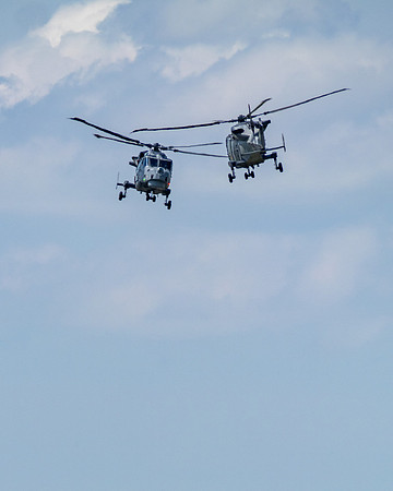 RIAT 2024-1017228